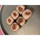 TUNA ROLL