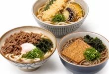 SOUPS (NOODLES)