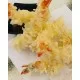 PRAWNS TEMPURA