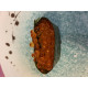 Ikura/Salmon Roe
