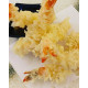 Prawns Tempura