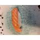 Shake/ Salmon 