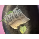 Shime Saba Sashimi